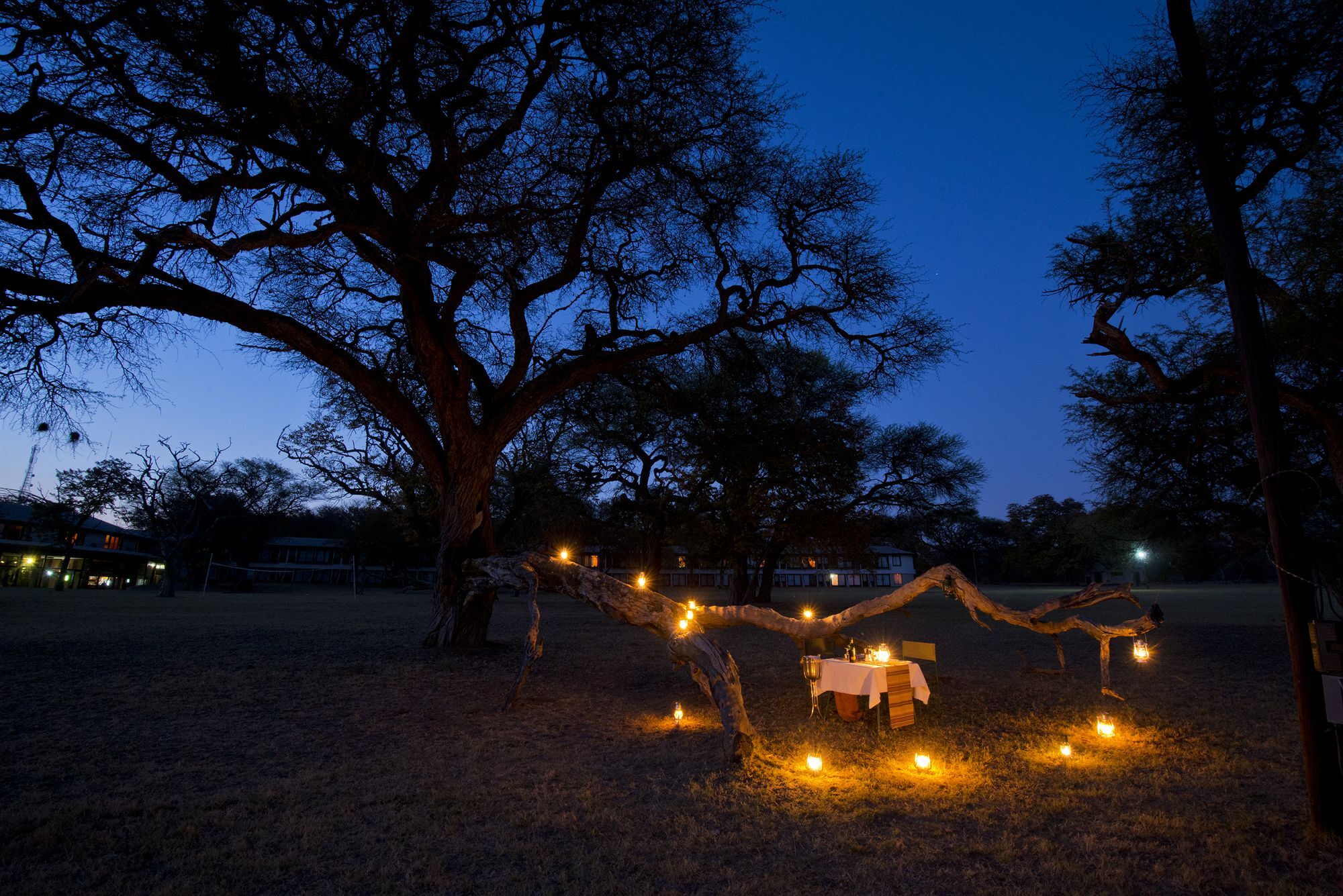 Hwange Safari Lodge Dete Eksteriør bilde